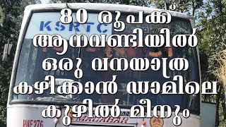 ആനവണ്ടി യാത്ര 80 രൂപയ്ക്ക് കഴിക്കാൻ ഡാമിലെ കുഴിൽ മീനും |Aanavandi yathra Athirapilly To Malakkappara