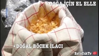 Doğal böcek ilacı yapımı