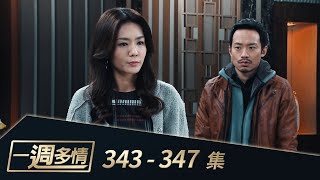 一週多情 EP343-347｜姦夫配淫婦！曉安懷上威廉野種！