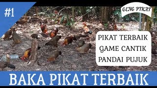 #27 PIKAT TERBAIK | GAME CANTIK | PANDAI PUJUK