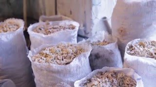 КОРМОЭКСТРУДЕР ДЛЯ ПРОИЗВОДСТВА КОМБИКОРМА