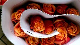Cherry brandy roses flower shop 718-338-3531