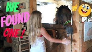 WE FOUND A LEASE HORSE FOR KIDS ! Day 207 (07/27/17)