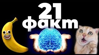 21 ШОКИРУЮЩИЙ ФАКТ - АЛЛЕРГИЯ - ЧАЙКИН ШУТИТ