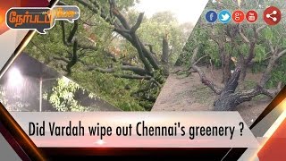 Nerpada Pesu: Did Vardah wipe out Chennai's greenery ? |13/12/2016 | Puthiyathalaimurai TV