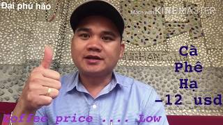 Giá cà phê hôm nay Giá tiêu hôm nay ngày 13/2/2020 Cà phê tiếp tục giảm