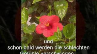 Guten Morgen Motivation - Meditation - sich beim Aufwachen gut fühlen