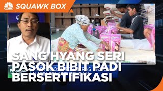 Setop Impor Beras! Sang Hyang Seri Pasok Bibit Padi Bersertifikasi