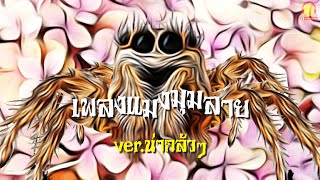 เพลงแมงมุมลายตัวนั้น น่ากลัวๆ Scary Spider Song