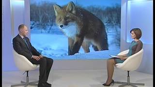 Вести-Интервью от 12.01.16 с Николаем Харченко