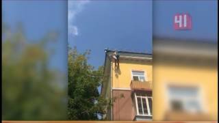 Спасли стрижа