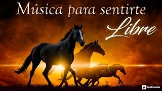 Música para Sentirse Libre, Música Instrumental, Relajante, Música Para Trabajar, Música de Fondo