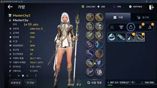 [Black Desert Mobile] Что одевать и в какой последовательности.