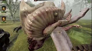 Meleeing a Chaos Spawn.