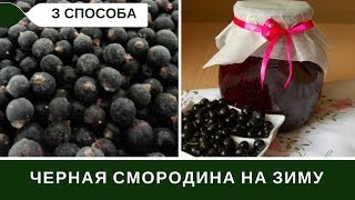 Черная Смородина На Зиму: Три Способа Заготовки + Малина