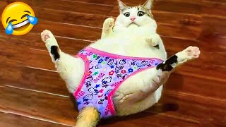 Funniest Cats And Dogs Videos - Best Funny Animal Videos 2021 ????