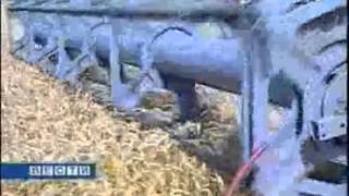 Зерно  в закромах, но радоваться еще рано