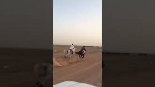 سقوط من الخيل HORRIBLE Horse Fall
