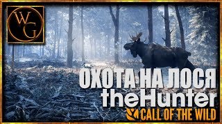 theHunter™: Call of the Wild - Medved-Taiga "Тайга, зимняя охота на лося" #2