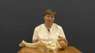11 Вертикальные роды. Юлия Постнова