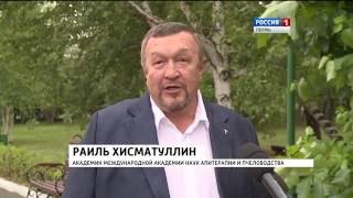 Ноу-хау в пчеловодстве: волшебный улей
