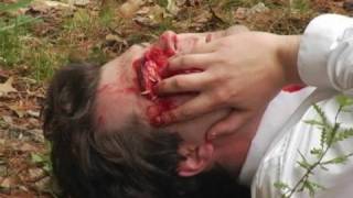 Blood and Headshots (Visual FX in Adobe After Effects)