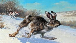 Охота на зайца.Собаки не оставляют шанса!\Hunting the hare. Dogs do not leave a chance!