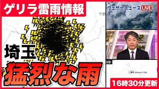 【ゲリラ雷雨】埼玉県 猛烈な雨（28日16時30分）