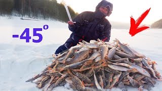 ЭТА МОРМЫШКА КОСИТ ПЛОТВУ И ОКУНЯ Наловили гору рыбы Подводные съёмки ловли на гвоздекубик СИБИРИЯ