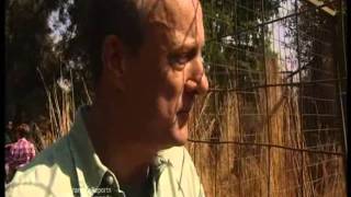 Wild at Heart - BEHIND THE SCENES - Granada Report - Stephen Tompkinson
