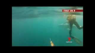 fishermen fight off great white shark, wow july 11, 2012