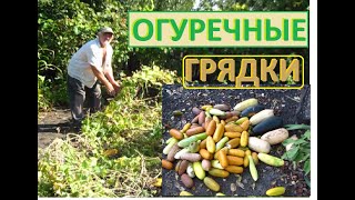 Убираем самую лучшую ОГУРЕЧНУЮ ГРЯДКУ