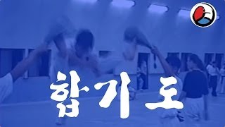 Hapkido kicking practice