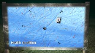 DNV Environmental Monitoring and Mapping of Sensitive Seabed Habitats by use of ROV