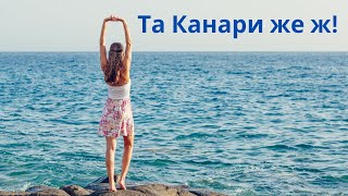 "Так Канари же ж!"| bambarbia.tv