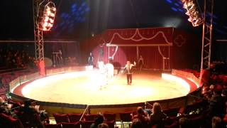 Circus Afrika präsentiert eine Meisterleistung in der Pferdedressur.