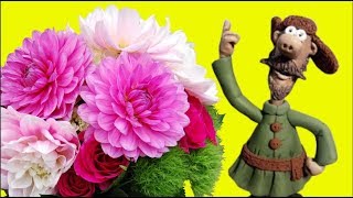 Привет, это у тебя  сегодня  День   РОЖДЕНИЯ .Поздравление  от МАЛОВАТО  БУДЕТ .#Мирпоздравлений