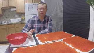 ИКРА ЛОСОСЕВАЯ. МАЛОСОЛЬНАЯ. Salmon roe to caviar 2014 Часть 1