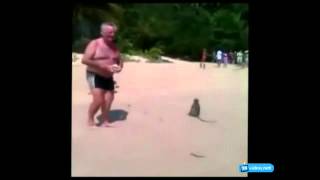 Обезьяны сняли трусы мужику