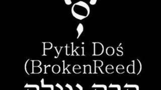 Pytki Doś: [metal] Hawa Nagila