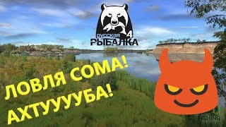 ? РУССКАЯ РЫБАЛКА 4 | ЛОВЛЯ СОМА! АХТУУУУБА! ??