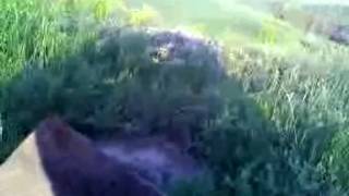 Сайга 308-1 исп100 7.62х51