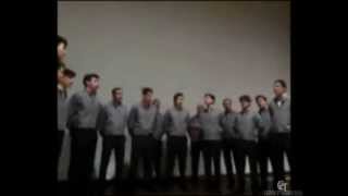 Gli Aizinponeri - Valvassori