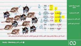 ثانية بكالوريا علوم الحياة والأرض | 5- تفسير قانون هاردي وينبرغ