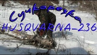 Испытания. Бензопила Husqvarna-236 ("сучкорезка")