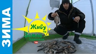 Ловля леща в палатке. Летняя прикормка на зимней рыбалке.
