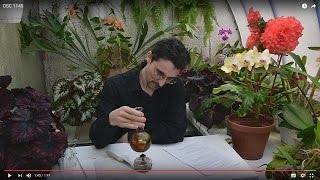 Приготовление фитоэликсира, практическая часть. Норма расхода и периодичность применения.