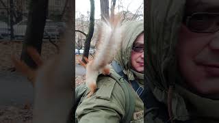Копия знает, где лежат орехи / Copy knows where the nuts are
