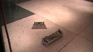 NW Model Hobby Expo 2011 T Rex 2 0 vs  Gutter Monkey