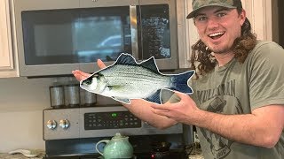 Jigging for White Bass And Hybrids!! {Catch Clean Cook} MICROWAVING FISH??